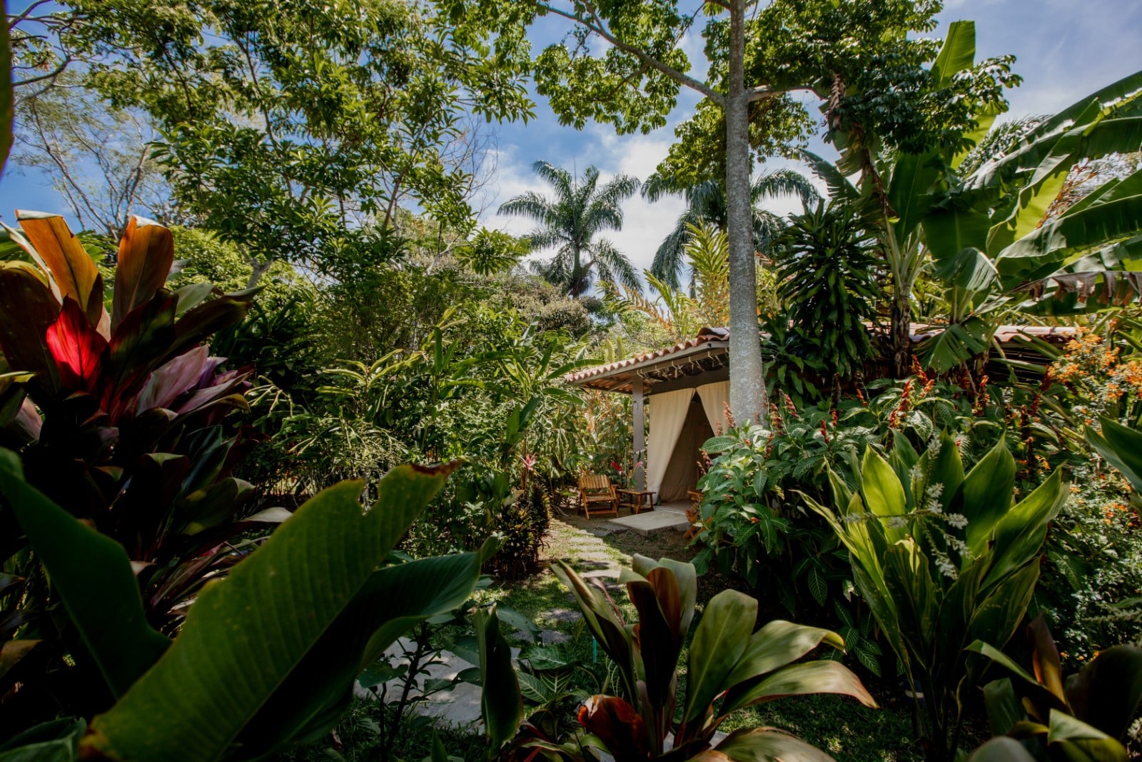 Women gathered together at an Align women's wellness retreat in Costa Rica